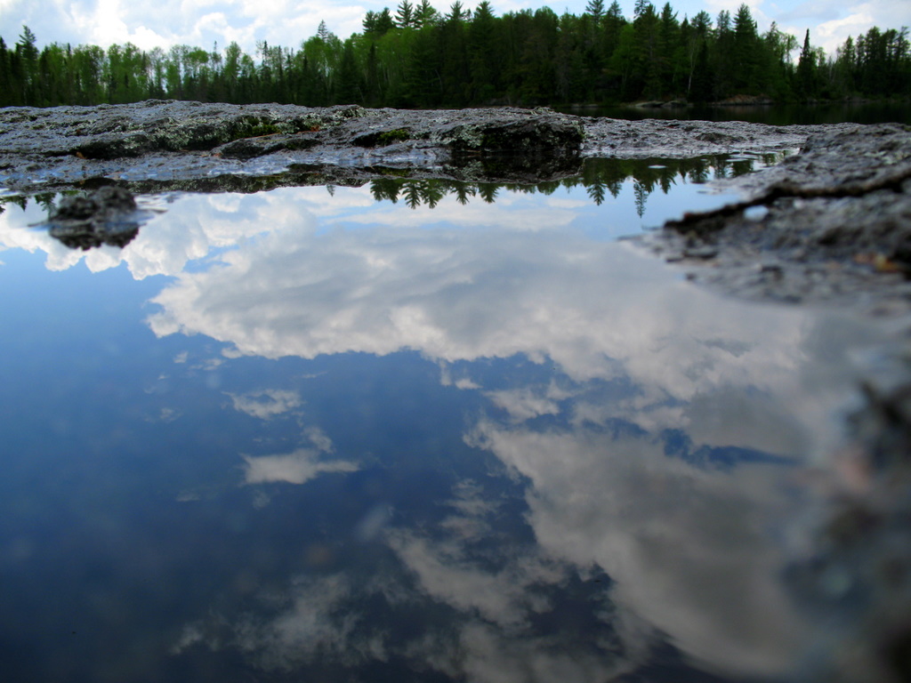 A reflection photo into a small pool of water in the BWCA.