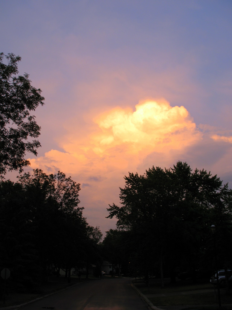 A passing thunderstorm cloud view between the trees.