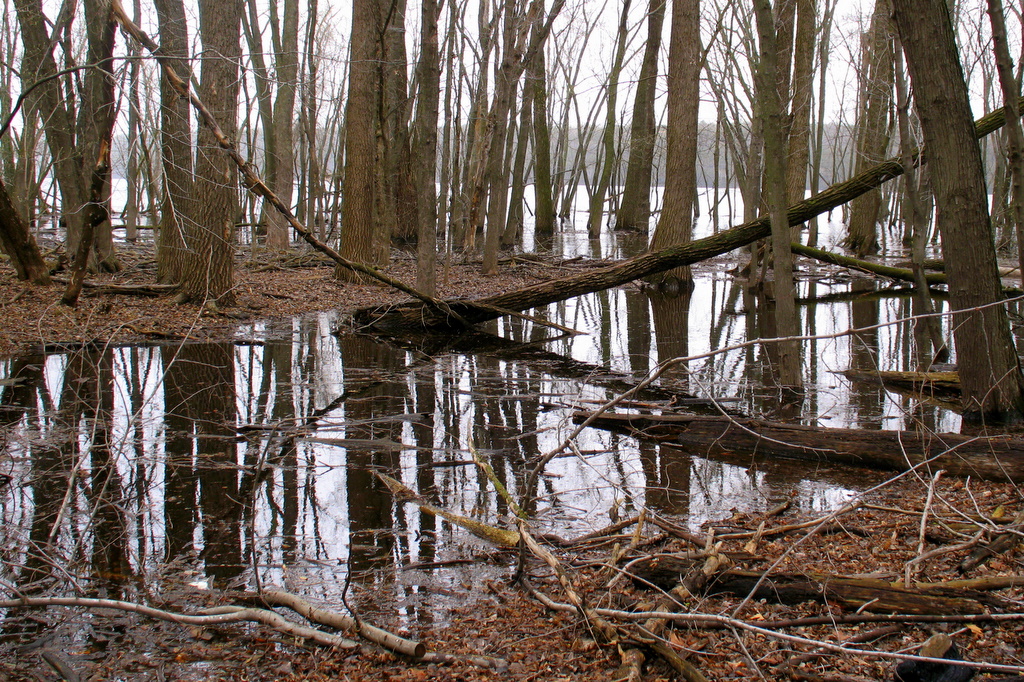 flooded waters on the St Croix River