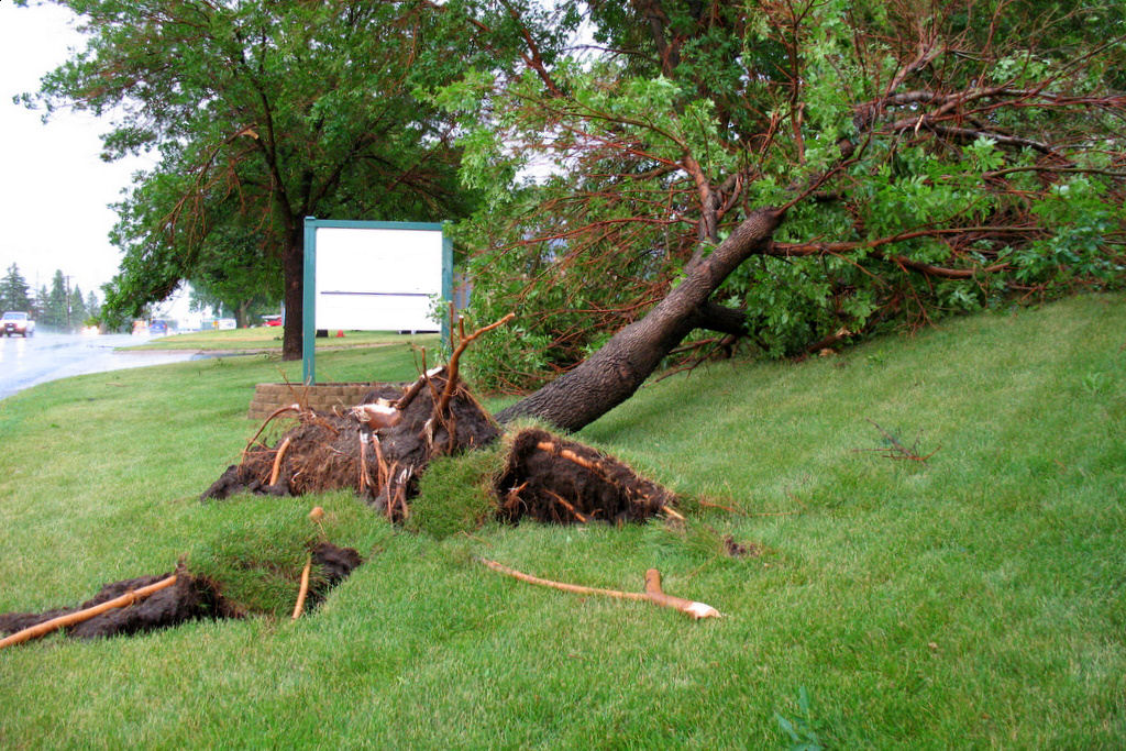 a powerful storm hit the twin cities area on july 11. photo of the aftermath.