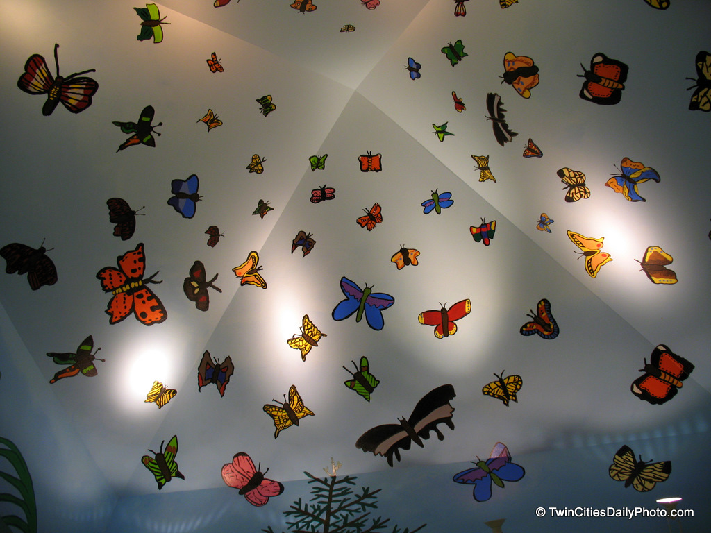 I made a visit to one of the community centers in Cottage Grove and made this butterfly discovery in the lobby. It certainly was a fun idea for the ceiling.