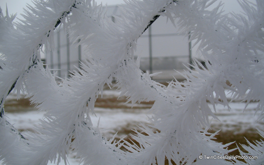 I wanted to give you a close up of the 'Frozen Frost' photo I posted yesterday. While I didn't walk over to the trees, I did get a close up of the chain link fence. Look at how long the frost has become, it looks like animal fur.